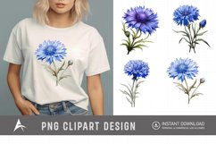 Watercolor Cornflowers Clipart Product Image 1
