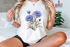 Watercolor Cornflowers Clipart Bundle Product Image 2