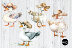 Watercolor Cowboy Duck PNG, Cowboy Duck PNG, Duck PNG Product Image 1