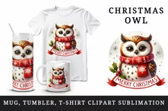 Watercolor cute cheerful owl wearing red scarf Merry Christmas quote print 20 oz tumbler skinny mug wrap clipart t-shirt sublimation printable design