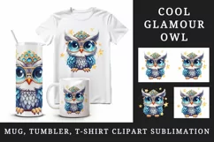 Watercolor cute cool glamour owl superstar animal bird glasses stars print 20 oz tumbler skinny mug wrap clipart t-shirt sublimation printable design