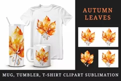 Watercolor cute fall autumn leaves sparkle shining diamonds 20oz tumbler skinny mug wrap clipart t-shirt sublimation printable design