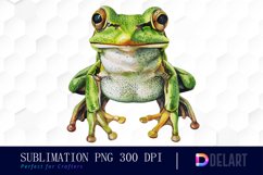 Cute Frog Watercolor Clipart Product Image 1