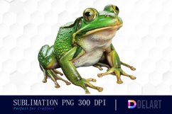 Cute Frog Watercolor Clipart Product Image 1