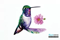 Watercolor Cute Hummingbird PNG Clipart Product Image 1