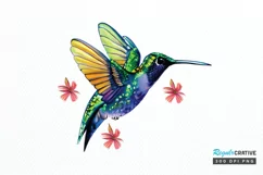 Watercolor Cute Hummingbird PNG Clipart Product Image 1