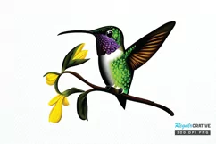 Watercolor Cute Hummingbird PNG Clipart Product Image 1