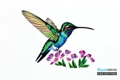 Watercolor Cute Hummingbird PNG Clipart Product Image 1