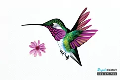 Watercolor Cute Hummingbird PNG Clipart Product Image 1