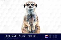 Cute Meerkat Graphics Clipart Product Image 1