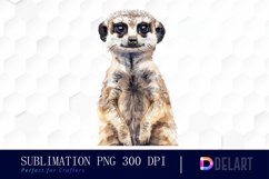 Cute Meerkat Illustration Clipart Product Image 1