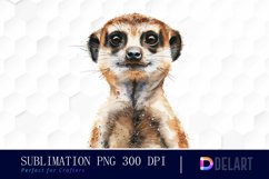 Cute Meerkat Sublimation PNG Clipart Product Image 1