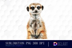 Cute Meerkat Illustration Clipart Product Image 1