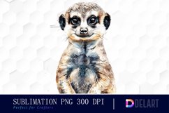 Cute Meerkat Graphics Clipart Product Image 1