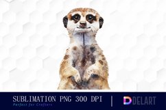Cute Meerkat Watercolor Clipart Product Image 1