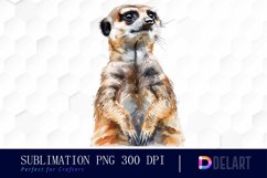 Cute Meerkat Watercolor Clipart Product Image 1