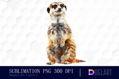 Cute Meerkat Watercolor Clipart Product Image 1