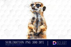 Cute Meerkat Watercolor Clipart Product Image 1