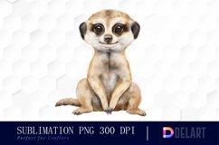 Cute Meerkat Graphics Clipart Product Image 1