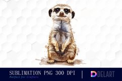 Cute Meerkat Graphics Clipart Product Image 1