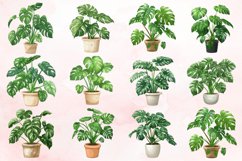 Cute Monstera In A Pot Tropical Plant Clipart Bundle Product Image 2