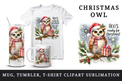 Watercolor cute owl branch Santa hat Hoo Ready for Christmas quote print 20 oz tumbler skinny mug wrap clipart t-shirt sublimation printable design