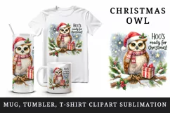 Watercolor cute owl branch Santa hat Hoo Ready for Christmas quote print 20 oz tumbler skinny mug wrap clipart t-shirt sublimation printable design