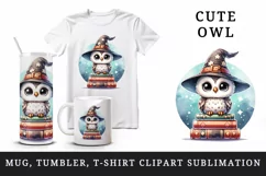 Watercolor cute owl with big eyes wizard hat on stack of magical books print 20oz tumbler skinny mug wrap clipart t-shirt sublimation printable design