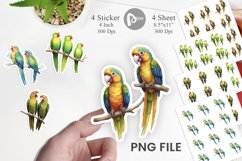 Sticker Watercolor Parrot Product Image 1