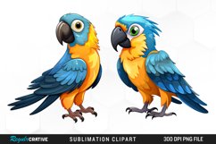 Parrot Clipart,Parrots Clipart,Parrot Png,Tropical Clipart,Birds Clipart,Parrot Digital,