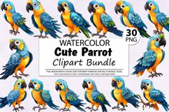 Watercolor Cute Parrot Clipart Bundle,Parrot Clipart,Parrots Clipart,Parrot Png,Tropical Clipart,Birds Clipart,Parrot Digital,