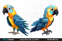 Watercolor Cute Parrot Clipart Product Image 1