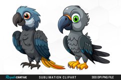 Cute Parrot Sublimation PNG Clipart Product Image 1