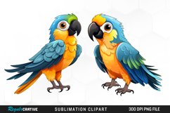 Watercolor Cute Parrot Clipart Product Image 1