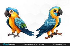 Watercolor Cute Parrot Clipart Bundle,Parrot Clipart,Parrots Clipart,Parrot Png,Tropical Clipart,Birds Clipart,Parrot Digital,