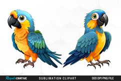 Parrot Clipart,Parrots Clipart,Parrot Png,Tropical Clipart,Birds Clipart,Parrot Digital,