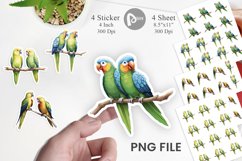 Sticker Watercolor Parrot Product Image 1