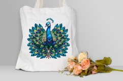 Watercolor Cute Peacock Clipart Bundle Product Image 5