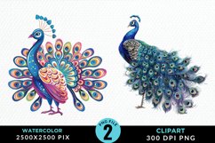 Watercolor Cute Peacock Illustration Clipart Product Image 1