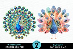 Watercolor Cute Peacock Illustration Clipart Product Image 1