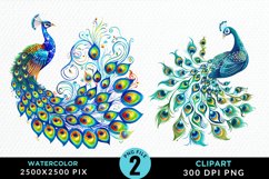 Watercolor Cute Peacock Illustration Clipart Product Image 1