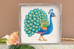 Watercolor Cute Peacock Clipart Bundle Product Image 3