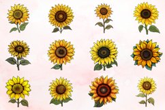 Watercolor Cute Sunflower Clipart Bundle Product Image 2