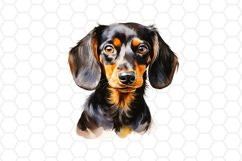 Watercolor Dachshund Clipart