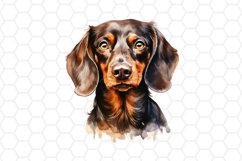 Watercolor Dachshund Clipart