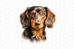 Watercolor Dachshund Clipart