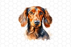 Watercolor Dachshund Clipart