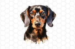 Watercolor Dachshund Clipart