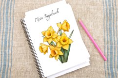 Watercolor Daffodil Clipart Bundle Product Image 4
