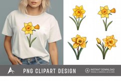 Watercolor Daffodil Clipart Product Image 1